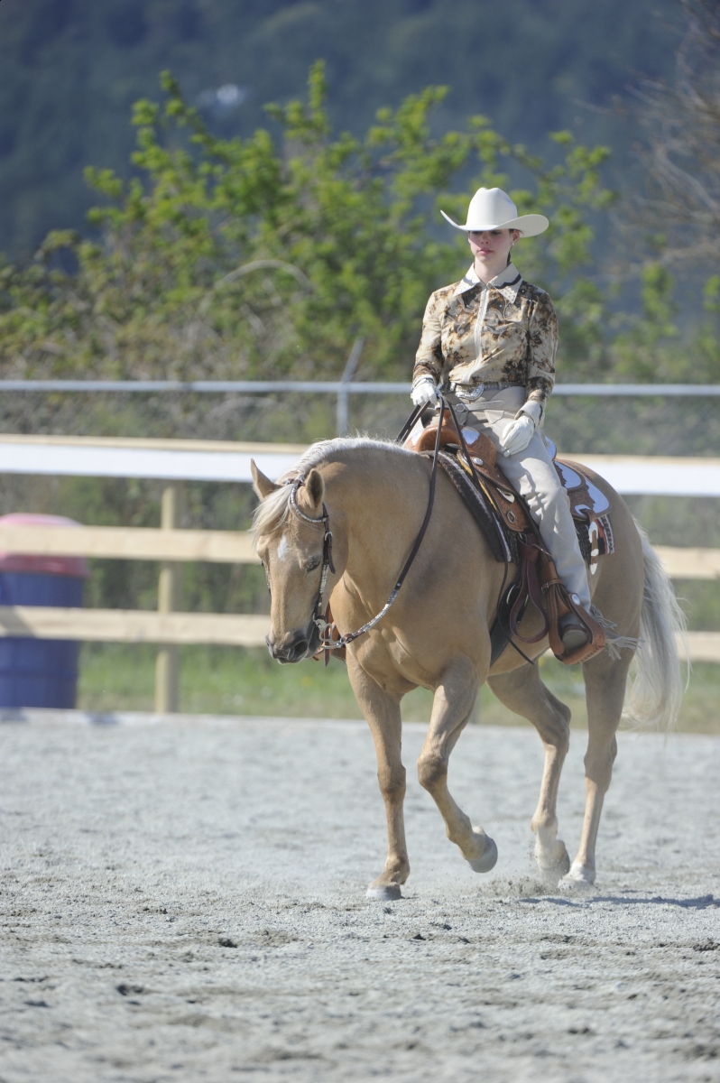 Headsets Western Pleasure Fads