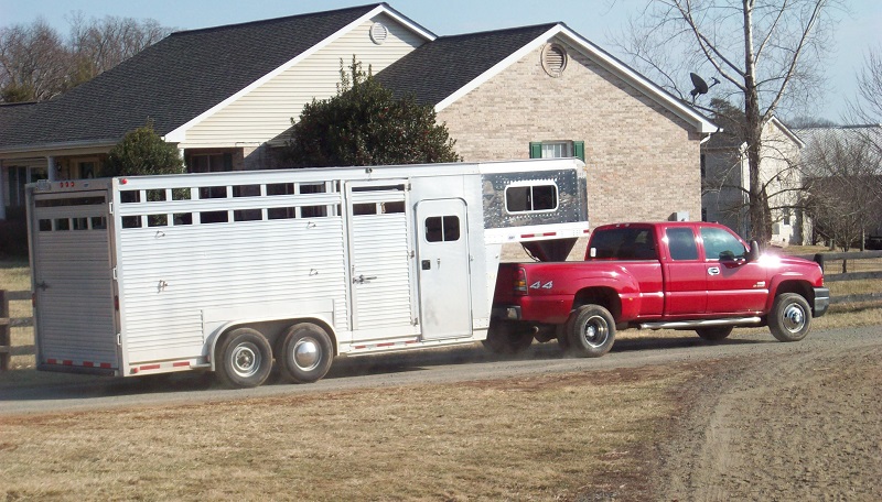 Kevan Garecki, horse trailer safety, safe horse transport, horse care