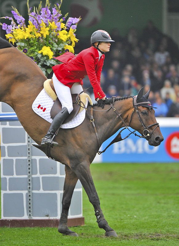 sticking the landing showjumping, sidonia mcIntyre, bascule phase horse jump, Federico Caprilli, Caprilli Method, equine kissing spine