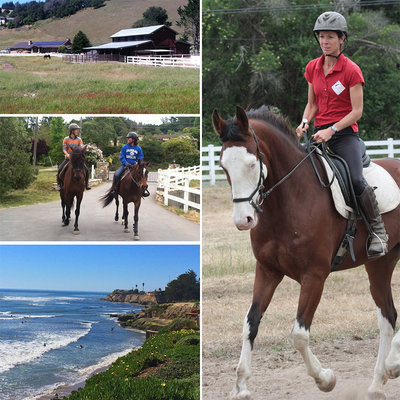 Jec A. Ballou, Giddy’up, Bon Voyage equine travel, travelling overseas with horse, equine travel, horse riding overseas, Jec Ballou horse trainer, jec aristotle ballou, western dressage, jec ballou, dressage exercises for horse and rider, jec ballou equine fitness beyond horse massage Jec A. Ballou, Giddy’up, Bon Voyage equine travel, travelling overseas with horse, equine travel, horse riding overseas, Jec Ballou horse trainer, jec aristotle ballou, western dressage, jec ballou, dressage exercises for horse and rider, jec ballou equine fitness beyond horse massage