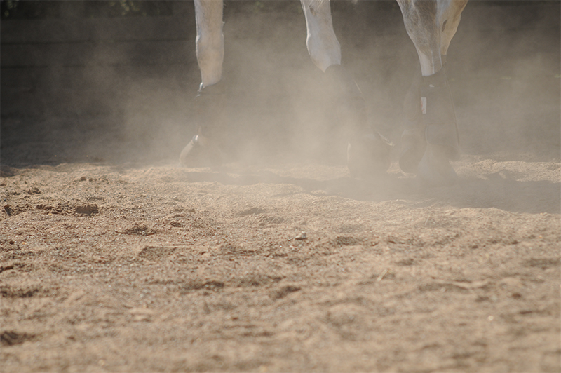 horse arena, horse ring, horse riding ring, horse riding arena, building horse riding ring, build horse riding arena, horse riding, construct outdoor horse riding ring, design outdoor horse riding ring