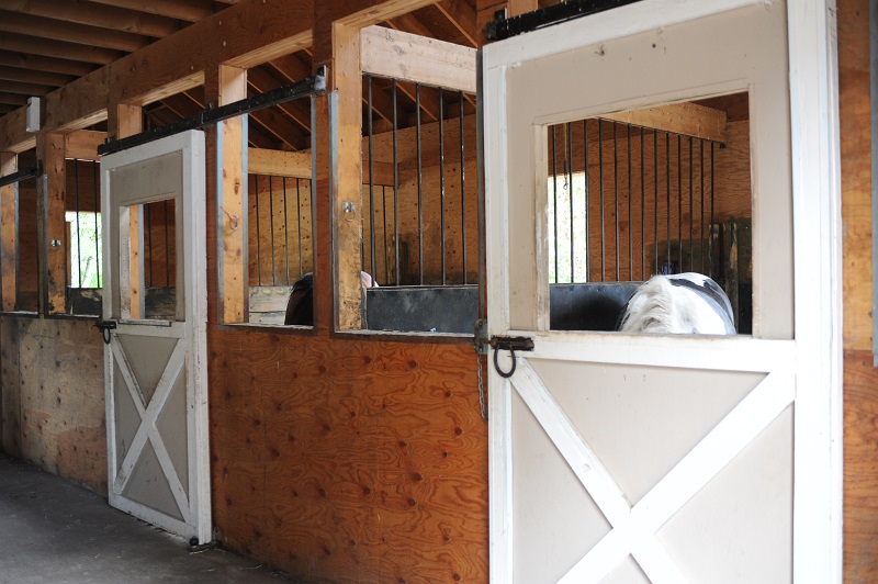 Horse owner's vacation checklist, horse care, equine care, horse worries, keep horses safe while you vacation Horse owner's vacation checklist, horse care, equine care, horse worries, keep horses safe while you vacation