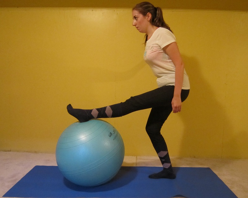 Master sitting trot, Sandra Verda-Zanatta, fit to ride, equine Hip Flexor stretch, equine quadriceps Stretch, equine hamstritng stretch, equine abdominal mini crunch, equine hamstring stretch, equine interval training, improving equine flexibility, equine hip roll, equine Spine mobility  