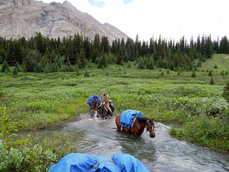 Traversing Canadian Rockies, Tania Millen, holidays on horseback, Alberta pack-trip, Azure Lake, Sulphur River, Jasper National Park, Summit pass, crossing Chown Creek Traversing Canadian Rockies, Tania Millen, holidays on horseback, Alberta pack-trip, Azure Lake, Sulphur River, Jasper National Park, Summit pass, crossing Chown Creek