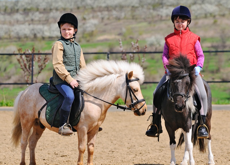 Girls Outnumber Boys horse riding, Jochen Schleese, horse riding, McClellan Saddle, horse riding erectile issues, George B. McClellan, dysfunction, Dr. James Warson