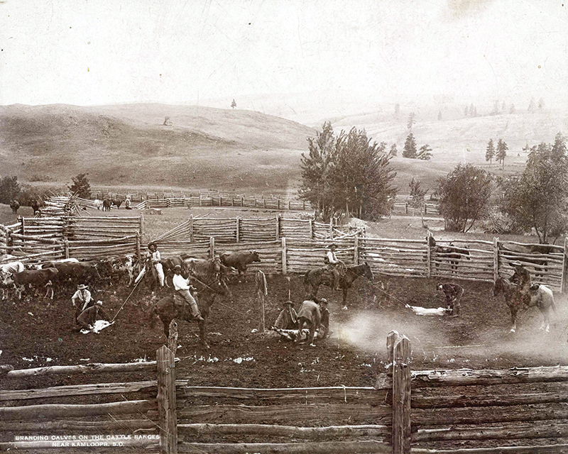 Canadian Ranching Heritage, Margaret Evans, cattle ranching, Cariboo gold rush 1858, Alkali Lake Ranch, Eddie Bambrick, Douglas Lake Ranch, Gang Ranch, Lord Aberdeen, Bar U Ranch, John Ware, Captain Charles Augustus Lyndon