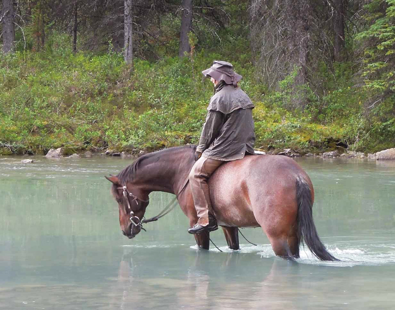 Traversing Canadian Rockies, Tania Millen, holidays on horseback, Alberta pack-trip, Azure Lake, Sulphur River, Jasper National Park, Summit pass, crossing Chown Creek Traversing Canadian Rockies, Tania Millen, holidays on horseback, Alberta pack-trip, Azure Lake, Sulphur River, Jasper National Park, Summit pass, crossing Chown Creek