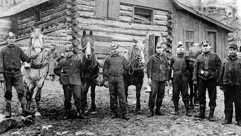 Pit Ponies, Pit Horses, pit pony history, miner Ceri Thompson, Canadian Coal Mining history, Sable Island, underground stables, Underground haulage, Coal Mining Canada Pit Ponies, Pit Horses, pit pony history, miner Ceri Thompson, Canadian Coal Mining history, Sable Island, underground stables, Underground haulage, Coal Mining Canada