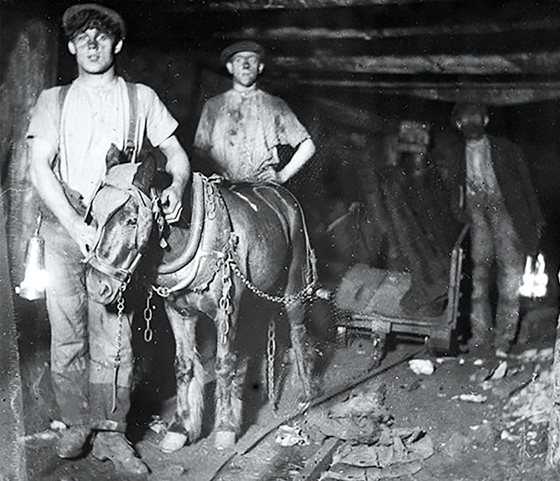 Pit Ponies, Pit Horses, pit pony history, miner Ceri Thompson, Canadian Coal Mining history, Sable Island, underground stables, Underground haulage, Coal Mining Canada Pit Ponies, Pit Horses, pit pony history, miner Ceri Thompson, Canadian Coal Mining history, Sable Island, underground stables, Underground haulage, Coal Mining Canada
