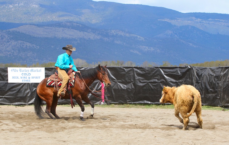 jochen schleese saddle fitting, difference between western saddle versus english saddle, saddle fitting western, saddle fitting english
