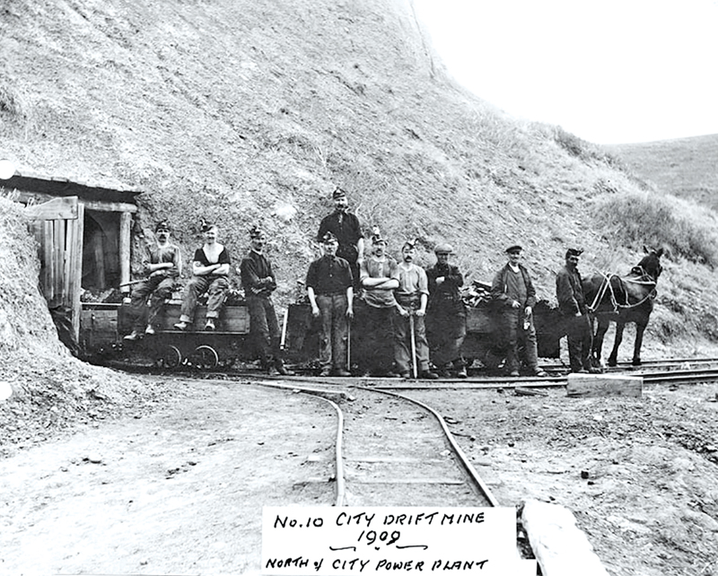 Pit Ponies, Pit Horses, pit pony history, miner Ceri Thompson, Canadian Coal Mining history, Sable Island, underground stables, Underground haulage, Coal Mining Canada Pit Ponies, Pit Horses, pit pony history, miner Ceri Thompson, Canadian Coal Mining history, Sable Island, underground stables, Underground haulage, Coal Mining Canada