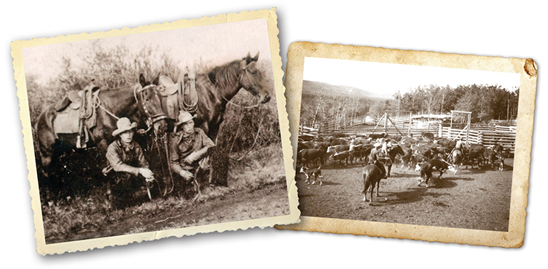 Canadian Ranching Heritage, Margaret Evans, cattle ranching, Cariboo gold rush 1858, Alkali Lake Ranch, Eddie Bambrick, Douglas Lake Ranch, Gang Ranch, Lord Aberdeen, Bar U Ranch, John Ware, Captain Charles Augustus Lyndon