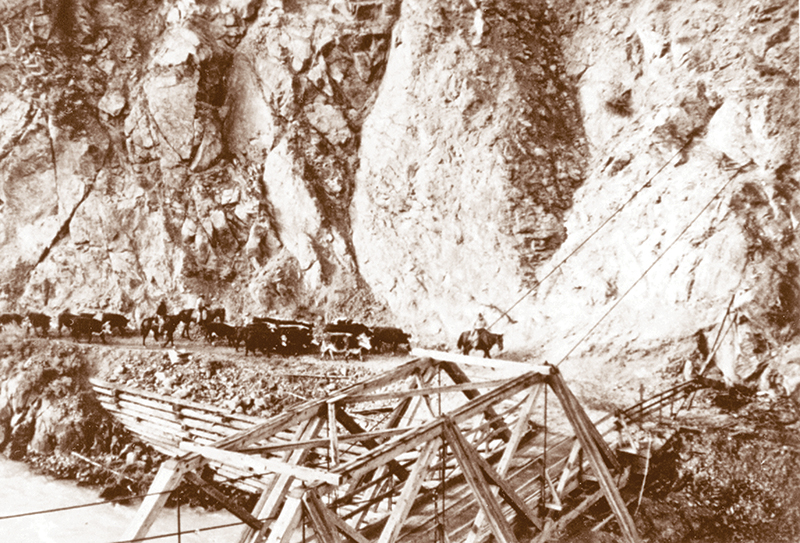 Canadian Ranching Heritage, Margaret Evans, cattle ranching, Cariboo gold rush 1858, Alkali Lake Ranch, Eddie Bambrick, Douglas Lake Ranch, Gang Ranch, Lord Aberdeen, Bar U Ranch, John Ware, Captain Charles Augustus Lyndon