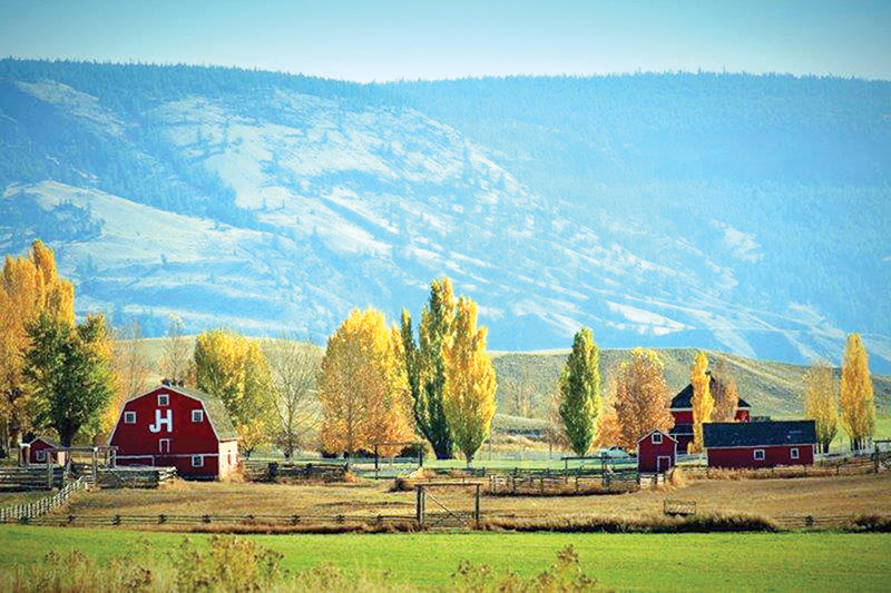 Canadain Ranching Heritage, Margaret Evans, cattle ranching, Cariboo gold rush 1858, Alkali Lake Ranch, Eddie Bambrick, Douglas Lake Ranch, Gang Ranch, Lord Aberdeen, Bar U Ranch, John Ware, Captain Charles Augustus Lyndon