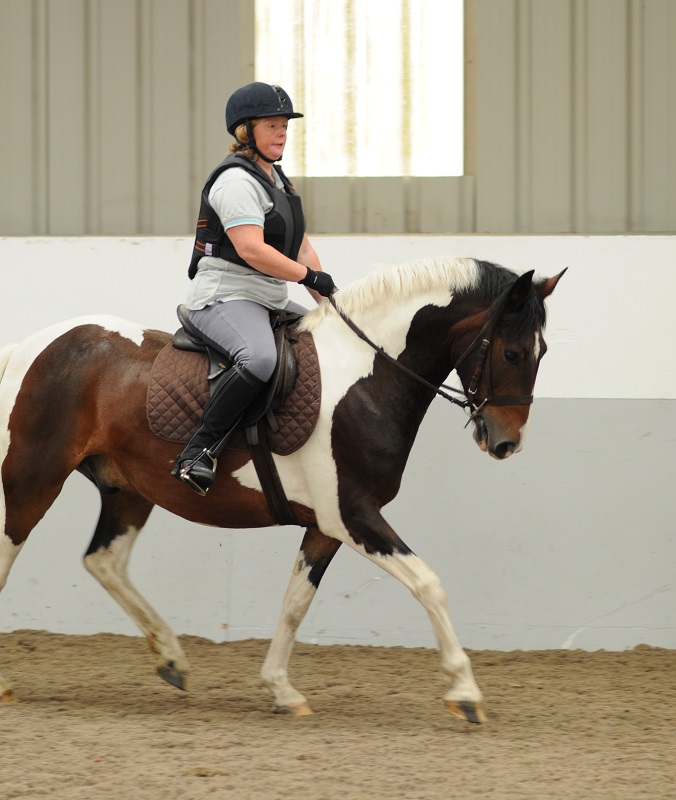 horse saddle fit, heavy horse rider, horse saddlefit4life, schleese, sabine schleese, jochen schleese, horse saddles for women, heavier horse rider, overweight horse rider, horse rider fitness