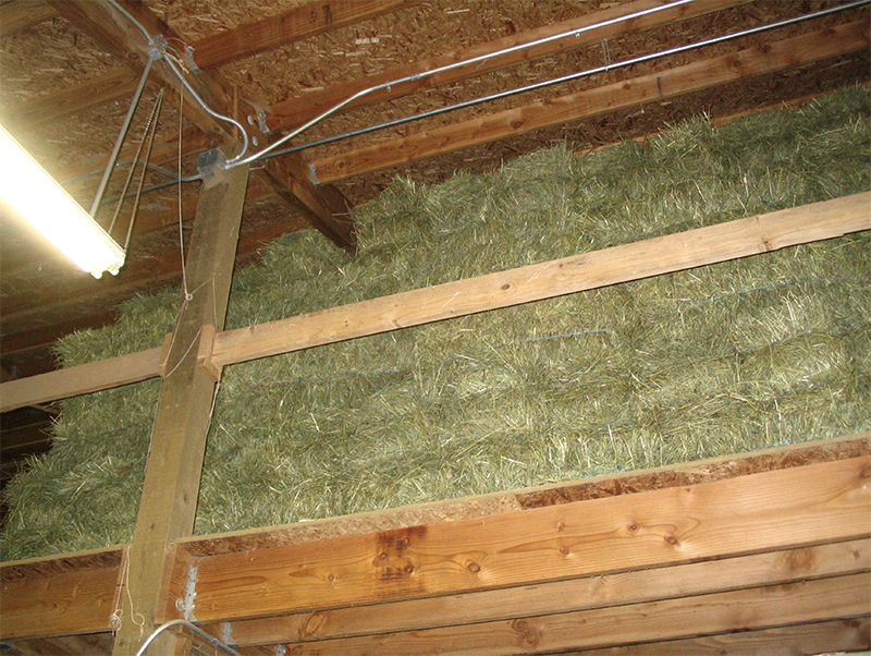 horse barn Fires, fire safety horse barns, horse fire, dressage arena fire, ventilation in horse barns, no smoking horse barns, fire extinguisher horse barns, Tanya Bettridge, determining casue horse barn fire, horse barn fire hazards, horse barn fire prevention horse barn Fires, fire safety horse barns, horse fire, dressage arena fire, ventilation in horse barns, no smoking horse barns, fire extinguisher horse barns, Tanya Bettridge, determining casue horse barn fire, horse barn fire hazards, horse barn fire prevention