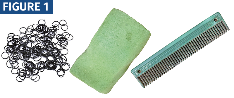 How to Train a horse's Mane, train the equine mane, horse grooming, shorten a horse's mane