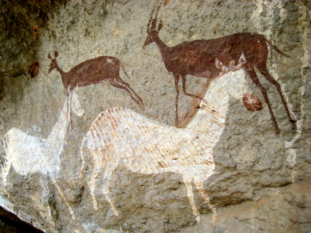 Oriane Lee Johnston, Vilanculos Mozambique africa, holidays on horseback, horse riding africa, horse riding abroad, swimming horseback, Varden Safaris horseback, Mavuradonha Wilderness, african horseback