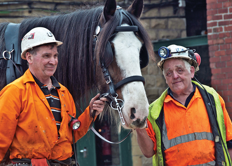 Pit Ponies, Pit Horses, pit pony history, miner Ceri Thompson, Canadian Coal Mining history, Sable Island, underground stables, Underground haulage, Coal Mining Canada Pit Ponies, Pit Horses, pit pony history, miner Ceri Thompson, Canadian Coal Mining history, Sable Island, underground stables, Underground haulage, Coal Mining Canada