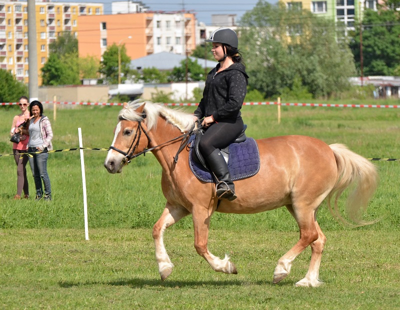horse saddle fit, heavy horse rider, horse saddlefit4life, schleese, sabine schleese, jochen schleese, horse saddles for women, heavier horse rider, overweight horse rider, horse rider fitness