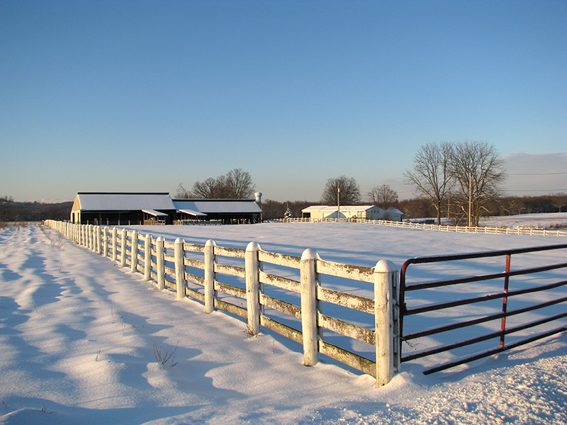Horse Property Plan,  update horse property, things to consider updating horse property, Jennifer Woodward, purchasing horse property, developing horse property, 