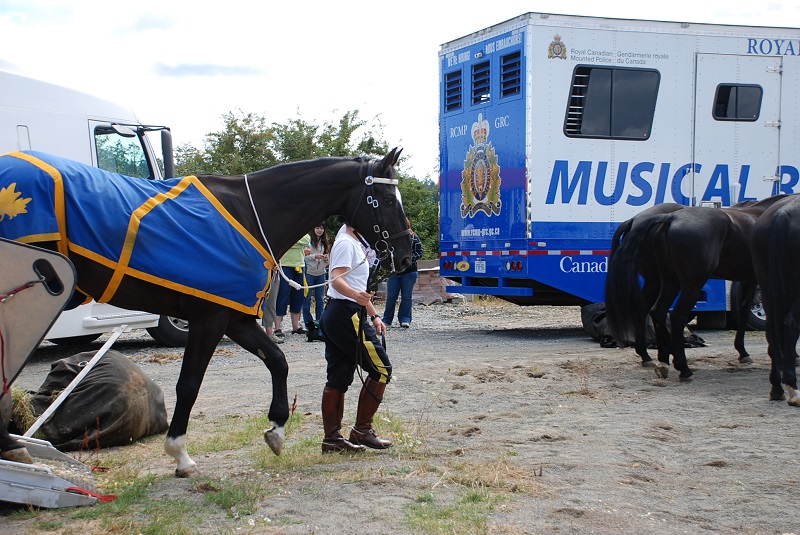 Royal Canadian Mounted Police, RCMP, Mountie, North West Mounted Police, Musical Ride, NWMP that the Musical Ride, history RCMP, historical RCMP, Canadian history