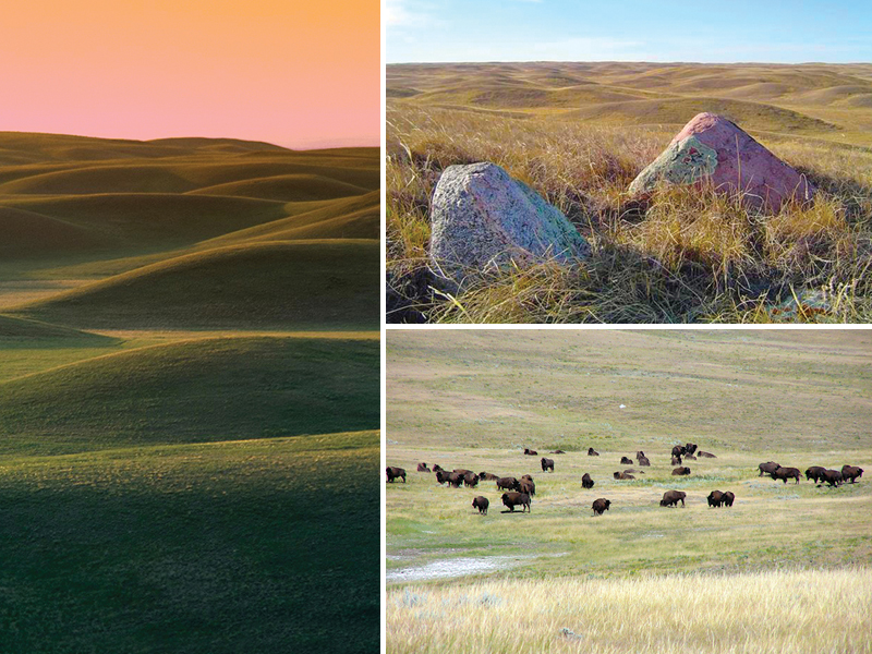 Canadian Ranching Heritage, Margaret Evans, cattle ranching, Cariboo gold rush 1858, Alkali Lake Ranch, Eddie Bambrick, Douglas Lake Ranch, Gang Ranch, Lord Aberdeen, Bar U Ranch, John Ware, Captain Charles Augustus Lyndon