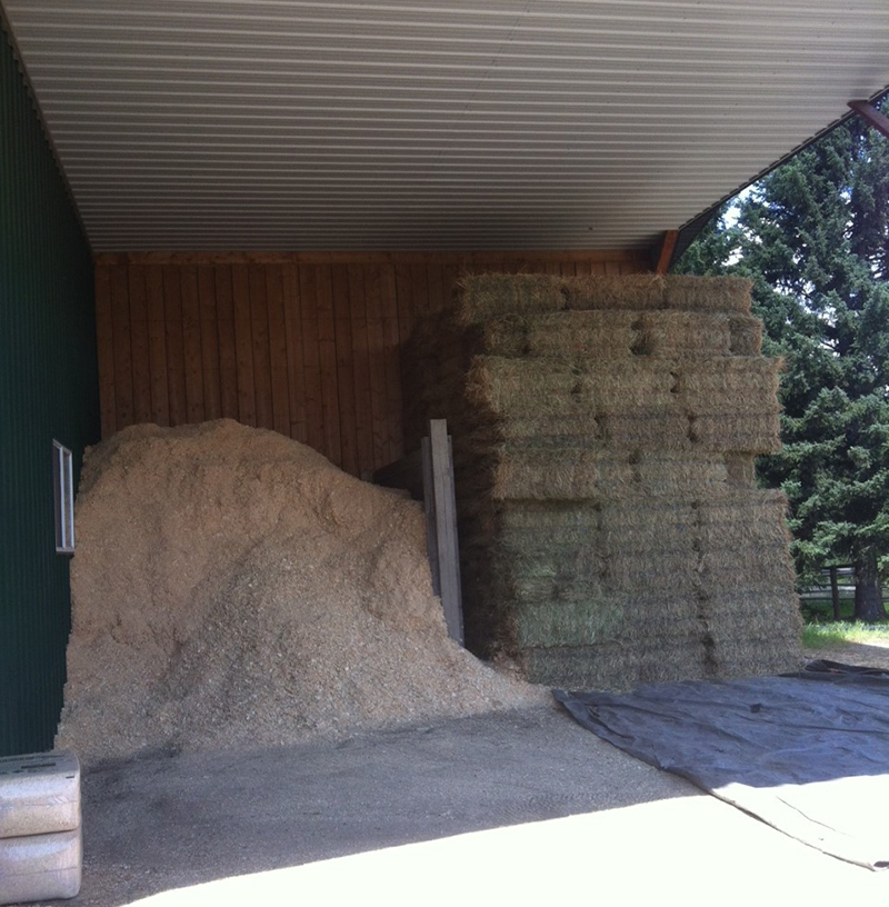 enviromentally friendly horse barn, eco friendly horse, eco friendly horse barn, stephanie captein Langley Environmental Partners Society, recycling horse bedding, composting horse manure