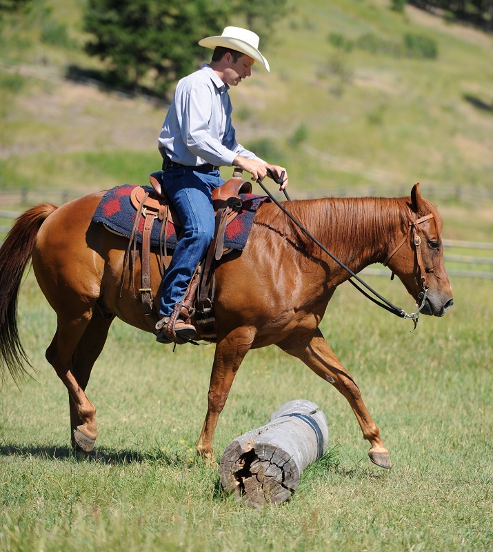 Jonathan Field, Jonathan Field Purpose Camp, Build Confidence in Your Horse, Cone on a Barrel horse exercise, horse jump over log, improve technical horse skills, horse obstacles, increase confidence in horse