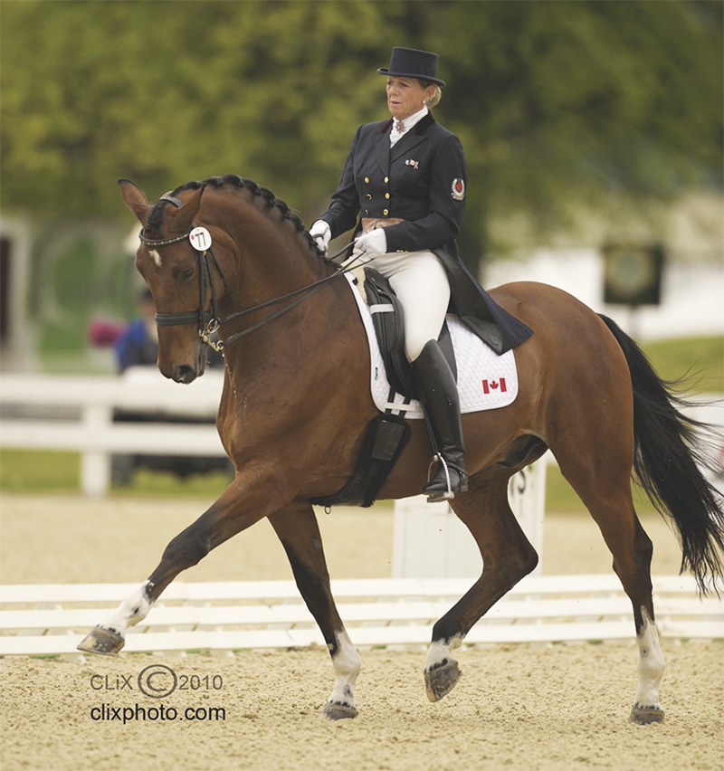 Bonny Bonnello, horse contact, horse riding contact, horse connection, horse riding connection, dressage contact, dressage connection, half-halt trot lengthening, Half-pass exercise, Leg-yield exercise, Half-pass exercise