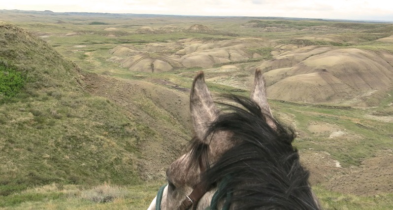 Grasslands National Park, horse trail, trail riding, saskatchewan trail riding, prairie trail riding, horse camping