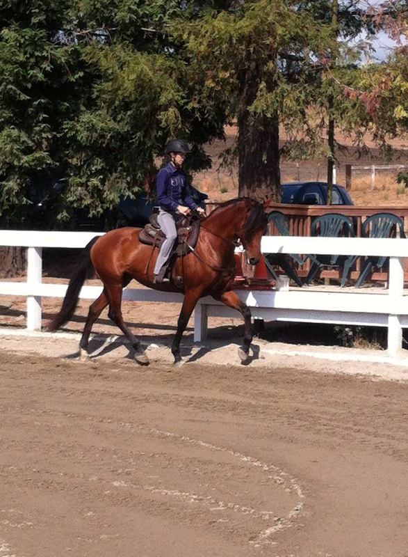 Jec A. Ballou, Giddy’up, Bon Voyage equine travel, travelling overseas with horse, equine travel, horse riding overseas, Jec Ballou horse trainer, jec aristotle ballou, western dressage, jec ballou, dressage exercises for horse and rider, jec ballou equine fitness beyond horse massage Jec A. Ballou, Giddy’up, Bon Voyage equine travel, travelling overseas with horse, equine travel, horse riding overseas, Jec Ballou horse trainer, jec aristotle ballou, western dressage, jec ballou, dressage exercises for horse and rider, jec ballou equine fitness beyond horse massage