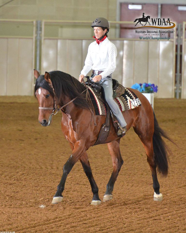 Jec A. Ballou, Giddy’up, Bon Voyage equine travel, travelling overseas with horse, equine travel, horse riding overseas, Jec Ballou horse trainer, jec aristotle ballou, western dressage, jec ballou, dressage exercises for horse and rider, jec ballou equine fitness beyond horse massage Jec A. Ballou, Giddy’up, Bon Voyage equine travel, travelling overseas with horse, equine travel, horse riding overseas, Jec Ballou horse trainer, jec aristotle ballou, western dressage, jec ballou, dressage exercises for horse and rider, jec ballou equine fitness beyond horse massage