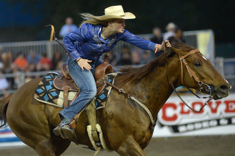 jochen schleese saddle fitting, difference between western saddle versus english saddle, saddle fitting western, saddle fitting english