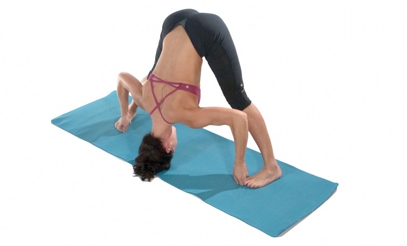 horse rider flexibility, horse rider-specific yoga, equestrian flexibility, yoga Louise Sattler, yoga for horse riders