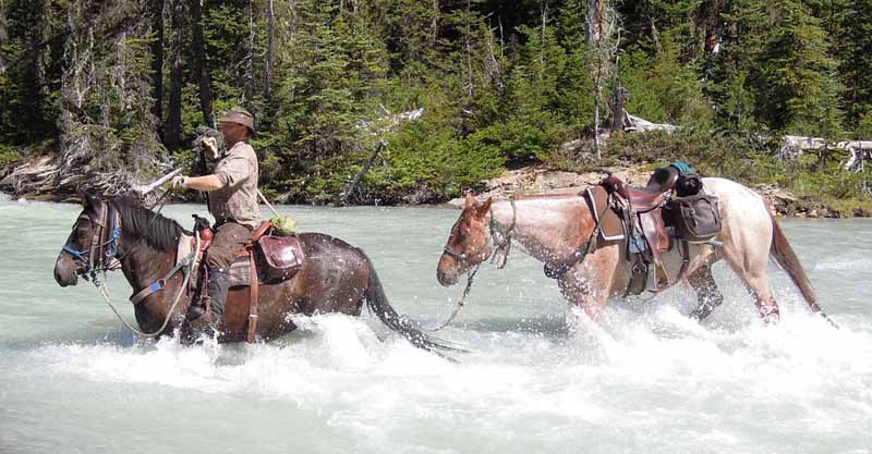 Traversing Canadian Rockies, Tania Millen, holidays on horseback, Alberta pack-trip, Azure Lake, Sulphur River, Jasper National Park, Summit pass, crossing Chown Creek Traversing Canadian Rockies, Tania Millen, holidays on horseback, Alberta pack-trip, Azure Lake, Sulphur River, Jasper National Park, Summit pass, crossing Chown Creek