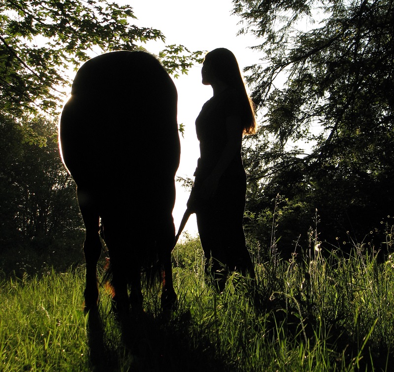 saying goodbye beloved horse, horse death, equine death