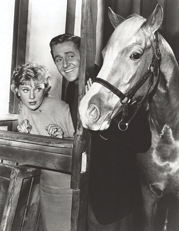 horses used in hollywood movies, the black stallion, seabisquit, national velvet, ben-hur, gladiator, john scott productions, legends of the fall, heartland, war horse, devil's horseman