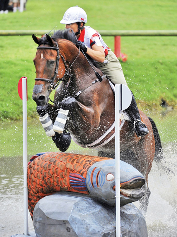 Inspiring horse stories, equestrian Juliet Graham, equestrian Nick Hlmes-Smith, equestrian Sandra Donnelly, equestrian Bruce Mandeville, equestrian Rob Stevenson