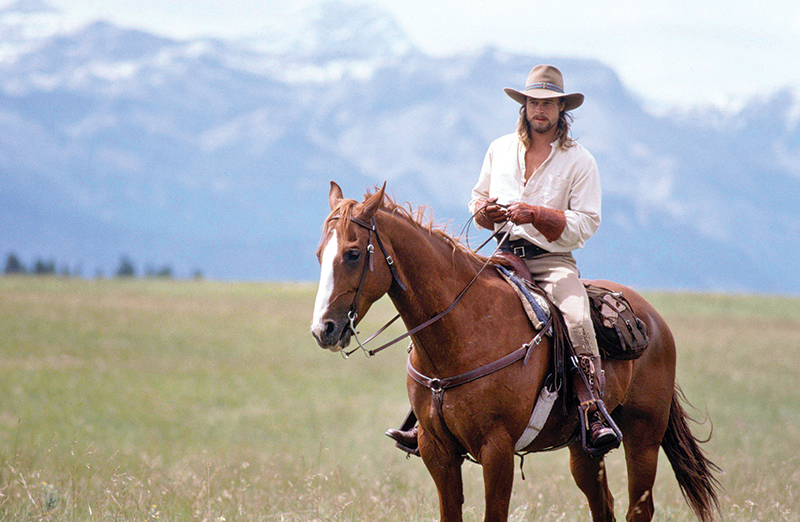 horses used in hollywood movies, the black stallion, seabisquit, national velvet, ben-hur, gladiator, john scott productions, legends of the fall, heartland, war horse, devil's horseman