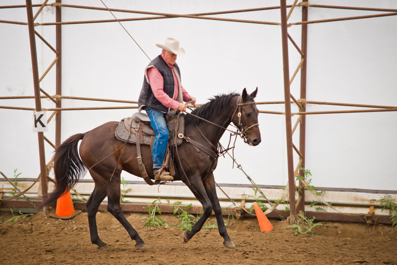 Retraining Thoroughbreds, new careers Thoroughbreds, Barbara Sheridan Equine Guelph, Garry Westergaard, Priscilla Clark Tranquility Farm, thoroughbred career change, Jocelyn Inglehart, Wendy Muir, Jane Avril Retraining Thoroughbreds, new careers Thoroughbreds, Barbara Sheridan Equine Guelph, Garry Westergaard, Priscilla Clark Tranquility Farm, thoroughbred career change, Jocelyn Inglehart, Wendy Muir, Jane Avril