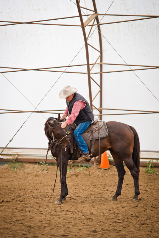 Retraining Thoroughbreds, new careers Thoroughbreds, Barbara Sheridan Equine Guelph, Garry Westergaard, Priscilla Clark Tranquility Farm, thoroughbred career change, Jocelyn Inglehart, Wendy Muir, Jane Avril Retraining Thoroughbreds, new careers Thoroughbreds, Barbara Sheridan Equine Guelph, Garry Westergaard, Priscilla Clark Tranquility Farm, thoroughbred career change, Jocelyn Inglehart, Wendy Muir, Jane Avril
