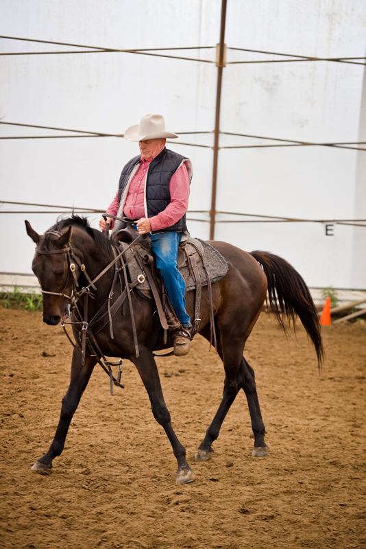 Retraining Thoroughbreds, new careers Thoroughbreds, Barbara Sheridan Equine Guelph, Garry Westergaard, Priscilla Clark Tranquility Farm, thoroughbred career change, Jocelyn Inglehart, Wendy Muir, Jane Avril Retraining Thoroughbreds, new careers Thoroughbreds, Barbara Sheridan Equine Guelph, Garry Westergaard, Priscilla Clark Tranquility Farm, thoroughbred career change, Jocelyn Inglehart, Wendy Muir, Jane Avril