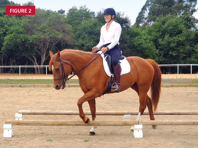 Jec Ballou horse training, core exercises horse, balance exercises horse, groundwork horses, pole work horses
