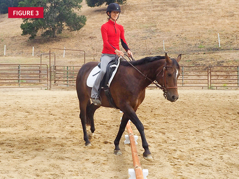 Jec Ballou horse training, core exercises horse, balance exercises horse, groundwork horses, pole work horses