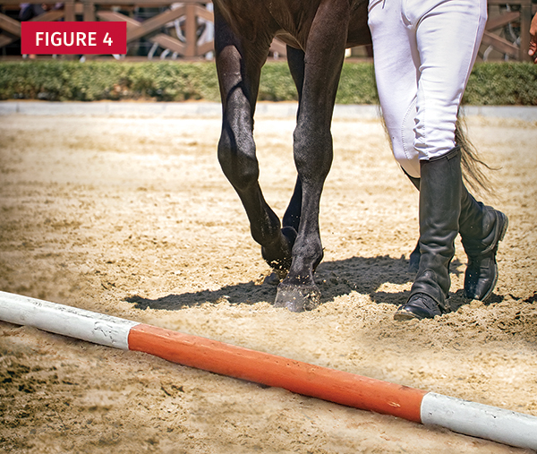 Jec Ballou horse training, core exercises horse, balance exercises horse, groundwork horses, pole work horses