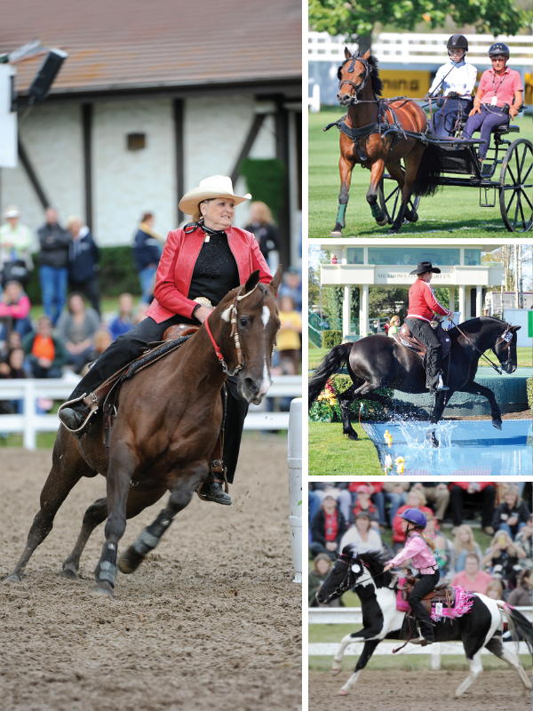 Ron and Margaret Southern, Ron Southern of Spruce Meadows, Margaret Southern of Spruce Meadows, show jumping in Canada, history of Spruce Meadows, legacy of Spruce Meadows, history of equi-fair, show jumping Spruce Meadows 