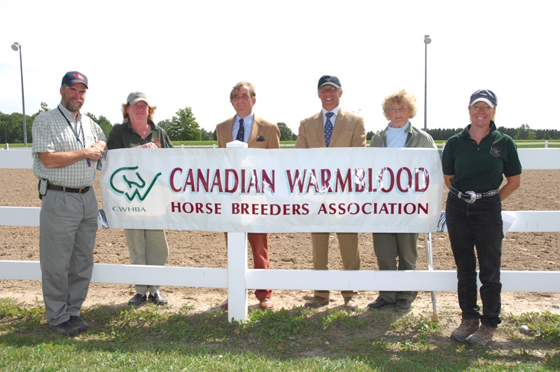 eve mainwaring hunter/jumper cwhba