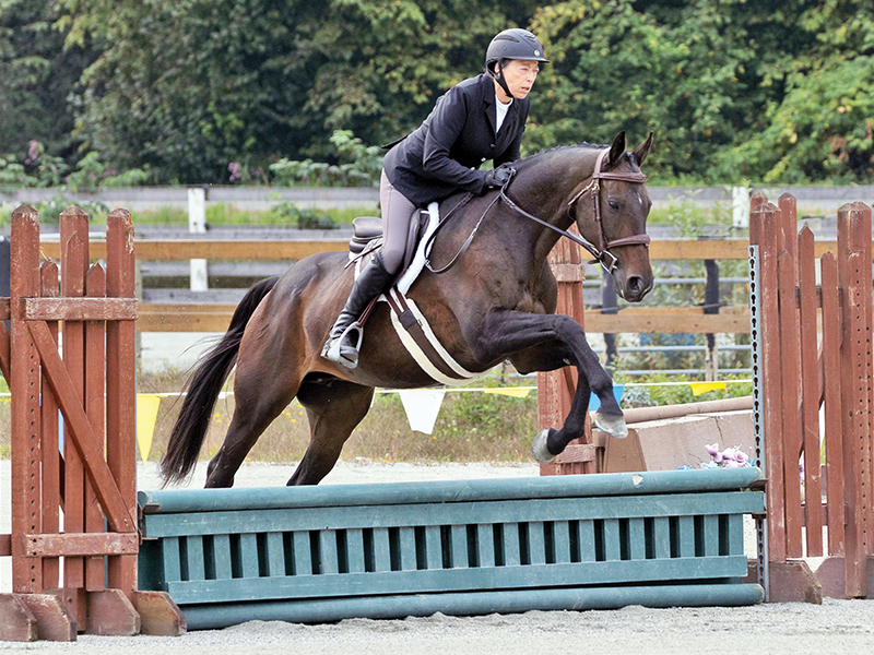 horse council bc, hcbc, 55+ bc summer games equestrian competition, maple ridge equi-sports centre