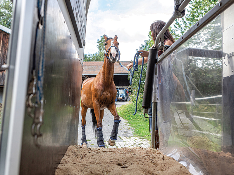 horse scared trailer, horse psychology, how to be respectful of my horse, how to talk to horse, helping my horse hard times, alexa linton